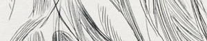 Drawings 2015