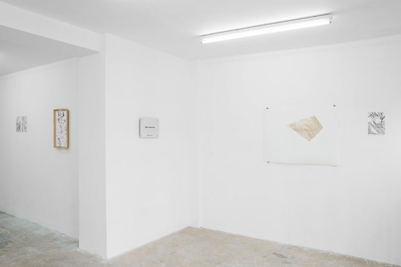 Antoine Levi Gallery